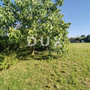 ISTRA, MEDULIN - Poljprivredno zemljište sa dva legalizirana objekta!