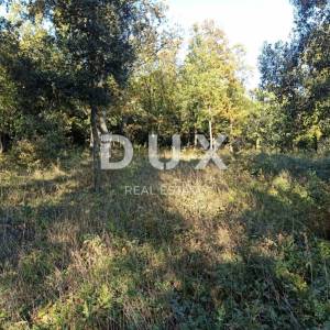 ISTRA, MEDULIN Veliko poljoprivredno zemljište na rubu urbanizacije 3700 m2 - BLIZINA MORA!