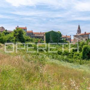 Istra, Momjan-građevinsko zemljište s ruševinom