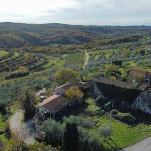 ISTRA, MOMJAN - Jedinstveno imanje na prekrasnoj lokaciji s pogledom