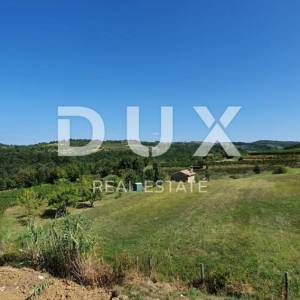 ISTRA, MOMJAN - Prekrasna vila s bazenom i pogledom na vinograde i maslinike
