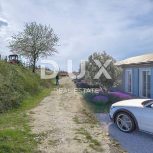 ISTRA, MOMJAN - Prekrasna vila s bazenom i pogledom na vinograde i maslinike