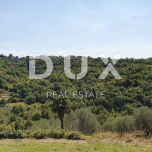 ISTRA, MOMJAN - Prekrasna vila s bazenom i panoramskim pogledom na prirodu i more