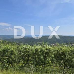 ISTRA, MOTOVUN - Čarobno zemljište s panoramskim pogledom od kojeg zastaje dah! Osama!