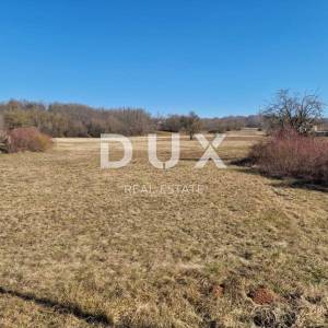 ISTRA, MOTOVUN - Građevinsko zemljište 1820m2 u blizini svih sadržaja