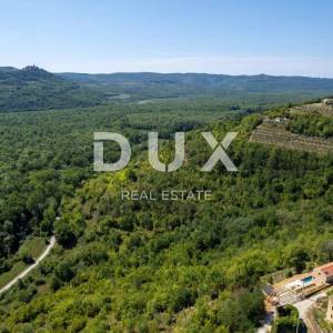 ISTRA, MOTOVUN - Izvanredna dizajnerska vila