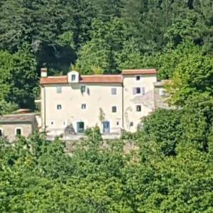 ISTRA, MOTOVUN - Kamena bajka u prirodi! RIJETKOST!