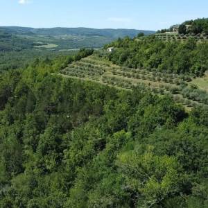 ISTRA, MOTOVUN - Kamena bajka u prirodi! RIJETKOST!