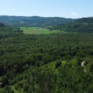 ISTRA, MOTOVUN - Kamena bajka u prirodi! RIJETKOST!