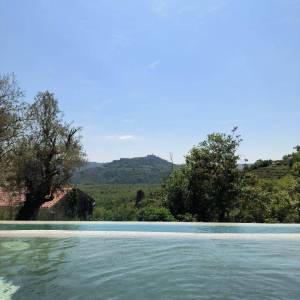 ISTRA, MOTOVUN - Kamena bajka u prirodi! RIJETKOST!