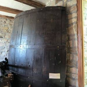 ISTRA, MOTOVUN - Kamena bajka u prirodi! RIJETKOST!
