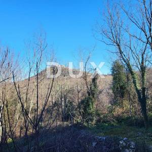 ISTRA, MOTOVUN - Kamena kuća s potencijalom