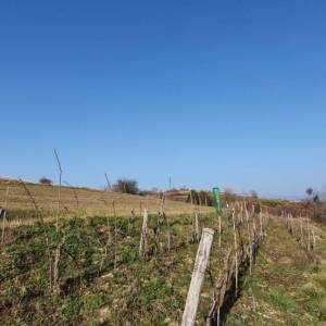 ISTRA, MOTOVUN, KAŠĆERGA - Građevinsko zemljište s građevinskom dozvolom, panoramski pogled!