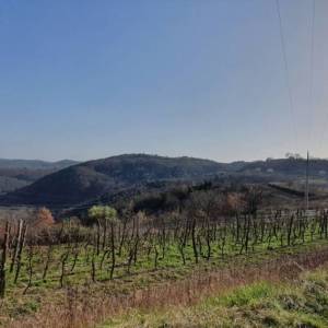 ISTRA, MOTOVUN, KAŠĆERGA - Građevinsko zemljište s građevinskom dozvolom, panoramski pogled!
