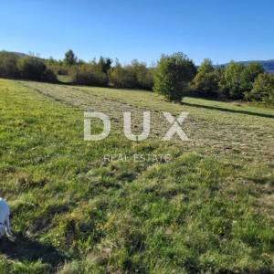 ISTRA, MOTOVUN - Kompleks građevinskog i poljoprivrednog zemljišta s pogledom na Motovun