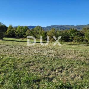 ISTRA, MOTOVUN - Kompleks građevinskog i poljoprivrednog zemljišta s pogledom na Motovun