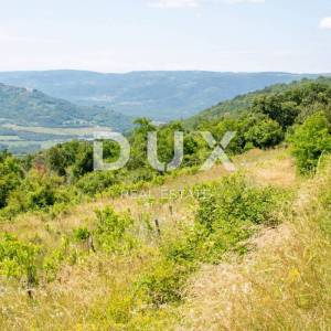 ISTRA, MOTOVUN - Kompleks zemljište sa predivnim pogledom na Motovun