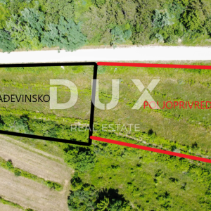 ISTRA, MOTOVUN - Kompleks zemljište sa predivnim pogledom na Motovun