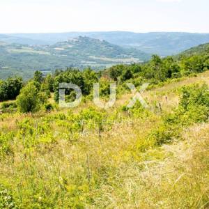 ISTRA, MOTOVUN - Kompleks zemljište sa predivnim pogledom na Motovun