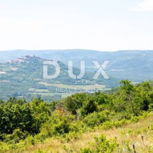 ISTRA, MOTOVUN - Kompleks zemljište sa predivnim pogledom na Motovun