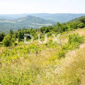 ISTRA, MOTOVUN - Kompleks zemljište sa predivnim pogledom na Motovun