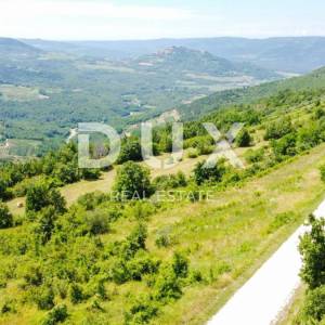 ISTRA, MOTOVUN - Kompleks zemljište sa predivnim pogledom na Motovun