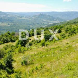 ISTRA, MOTOVUN - Kompleks zemljište sa predivnim pogledom na Motovun