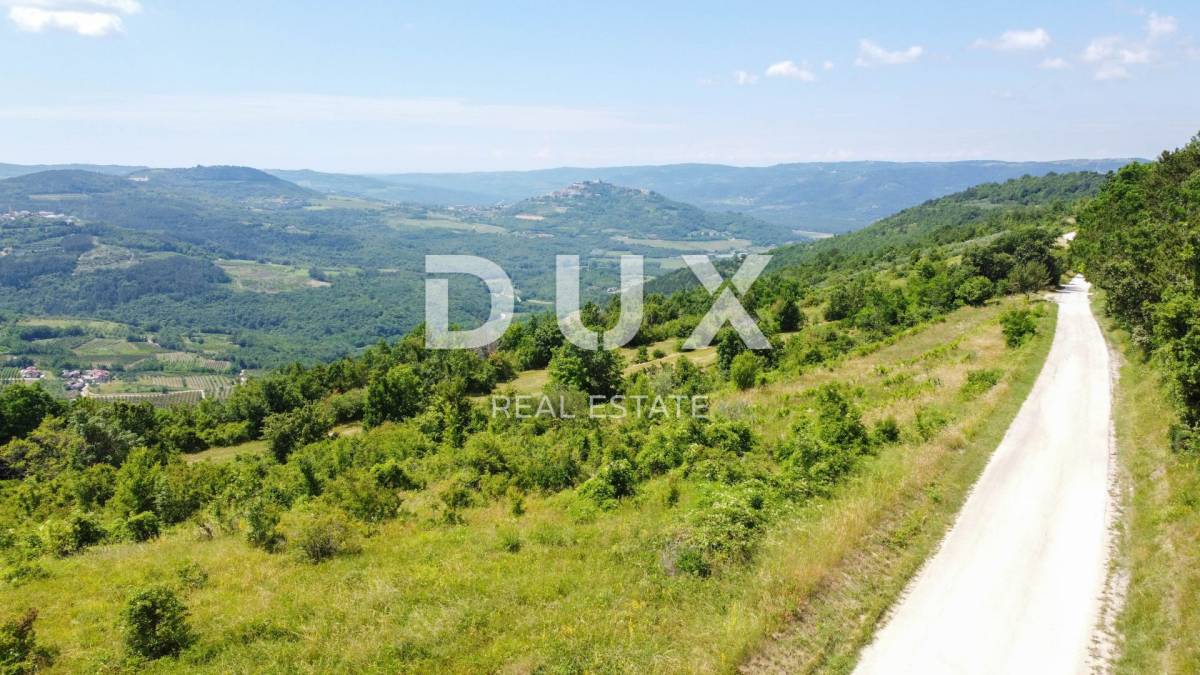 ISTRA, MOTOVUN - Kompleks zemljište sa predivnim pogledom na Motovun