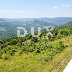 ISTRA, MOTOVUN - Kompleks zemljište sa predivnim pogledom na Motovun