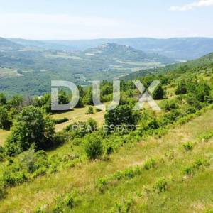 ISTRA, MOTOVUN - Kompleks zemljište sa predivnim pogledom na Motovun