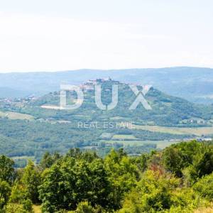 ISTRA, MOTOVUN - Kompleks zemljište sa predivnim pogledom na Motovun