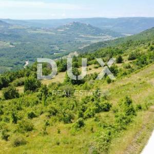 ISTRA, MOTOVUN - Kompleks zemljište sa predivnim pogledom na Motovun