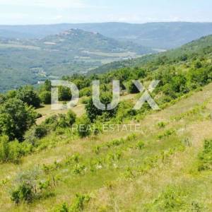 ISTRA, MOTOVUN - Kompleks zemljište sa predivnim pogledom na Motovun