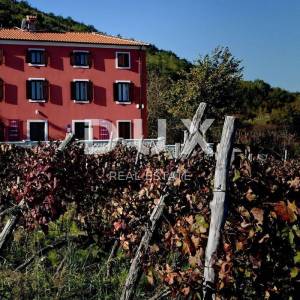 ISTRA, MOTOVUN - Kuća na jedinstvenom položaju i s jedinstvenom ponudom u Istri