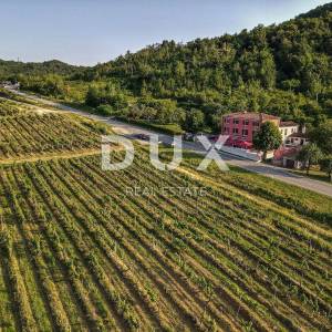 ISTRA, MOTOVUN - Kuća na jedinstvenom položaju i s jedinstvenom ponudom u Istri
