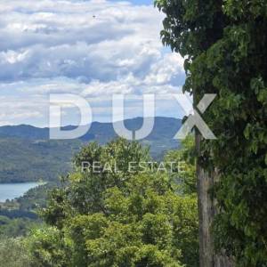 ISTRA, MOTOVUN - Motovunski raj – imanje s pogledom na Butonigu, Učku i tartufarsku šumu