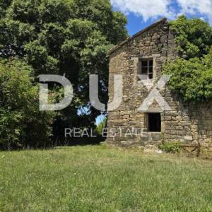 ISTRA, MOTOVUN - Motovunski raj – imanje s pogledom na Butonigu, Učku i tartufarsku šumu