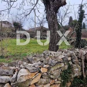 ISTRA, MOTOVUN, OKOLICA - Dvije kuće za adaptaciju s dvorištem