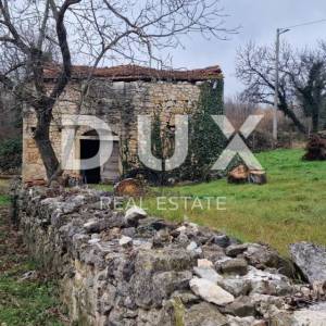 ISTRA, MOTOVUN, OKOLICA - Dvije kuće za adaptaciju s dvorištem