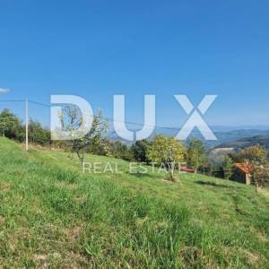 ISTRA, MOTOVUN, OKOLICA - Kompleks zemljišta s pogledom na Butonigu i brdašca