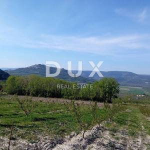 ISTRA, MOTOVUN, OKOLICA - Kompleks građevinskog i poljoprivrednog zemljišta na osami s pogledom na Motovun