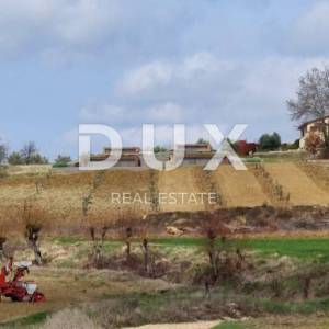 ISTRA, MOTOVUN, OKOLICA - Projekt za izgradnju 4 vile s bazenom