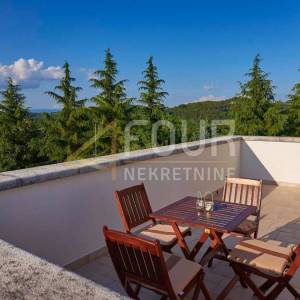 Istra, Motovun okolica, rustikalna vila s bazenom
