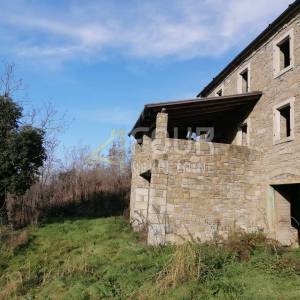 Istra, Motovun - okolica, zemljište s dvije starine
