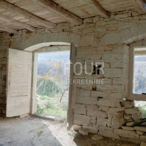 Istra, Motovun - okolica, zemljište s dvije starine