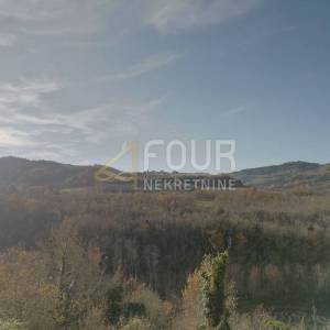 Istra, Motovun - okolica, zemljište s dvije starine