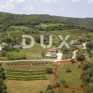 ISTRA, MOTOVUN - Prostrano građevinsko zemljište T2 namjene sa predivnim pogledom na Motovun