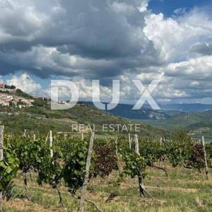 ISTRA, MOTOVUN - Prostrano građevinsko zemljište