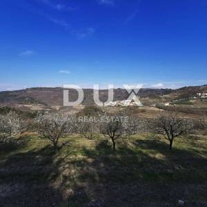 ISTRA, MOTOVUN - Prostrano poljoprivredno zemljište