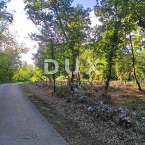 ISTRA, MOTOVUN - Prostrano zemljište s građevinskom dozvolom